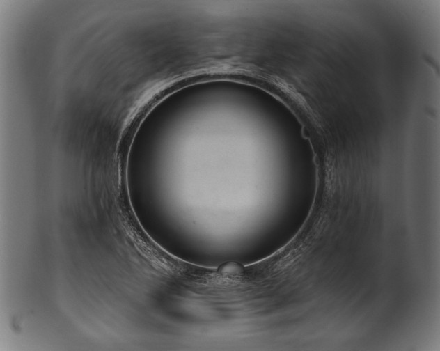 X0000100961270200806241519