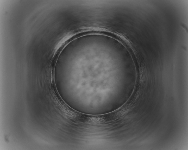 X0000100961271200806241519