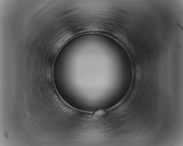 X0000100961273200806241519