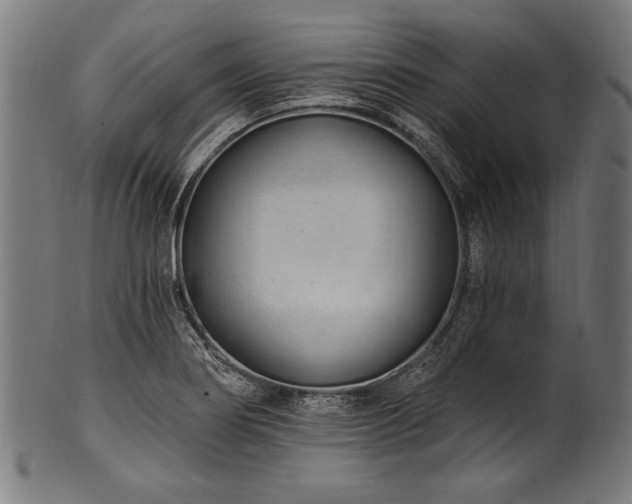 X0000100961274200806241518