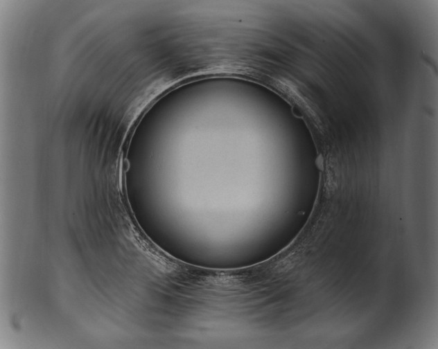 X0000100961276200806241518