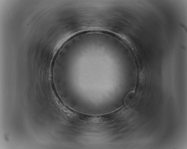 X0000100961279200806241518