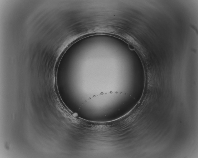 X0000100961280200806241518