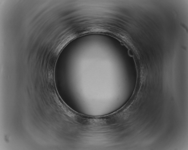X0000100961281200806241518