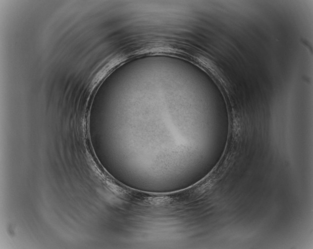 X0000100961282200806241518