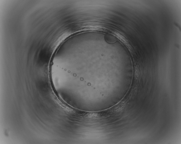 X0000100961283200806241518