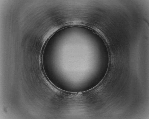 X0000100961285200806241518