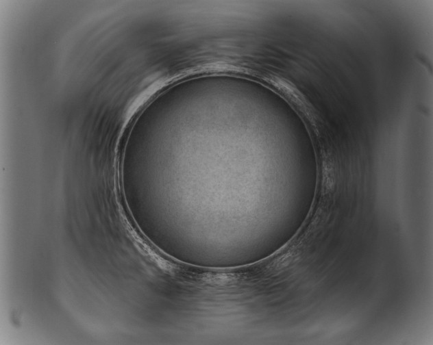 X0000100961286200806241518