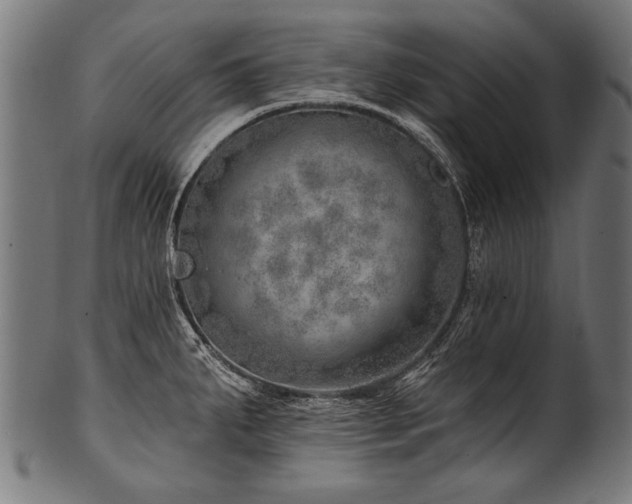 X0000100961287200806241518