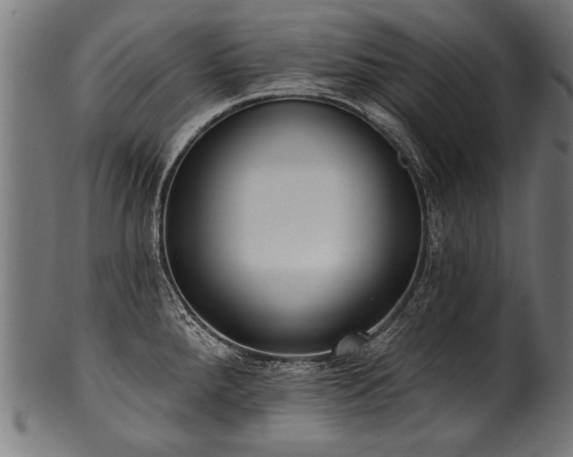 X0000100961288200806241518