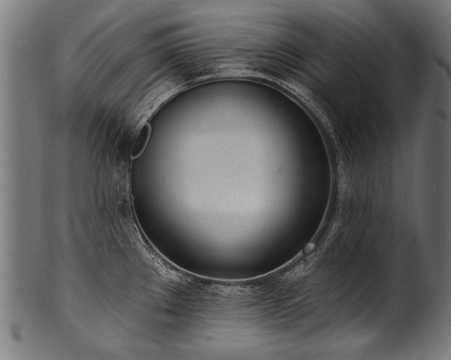 X0000100961289200806241518