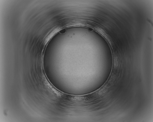 X0000100961290200806241518