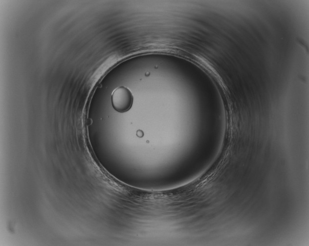 X0000100961291200806241518
