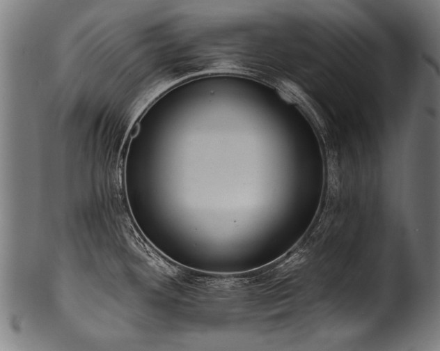 X0000100961292200806241518