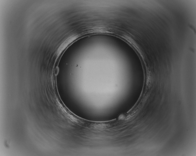 X0000100961293200806241518