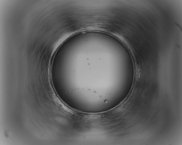 X0000100961294200806241518