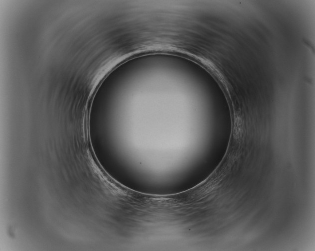 X0000100961295200806241518