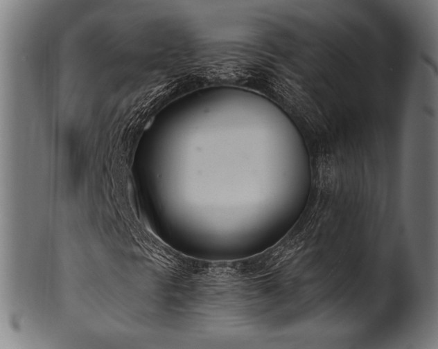X0000100961297200806241517