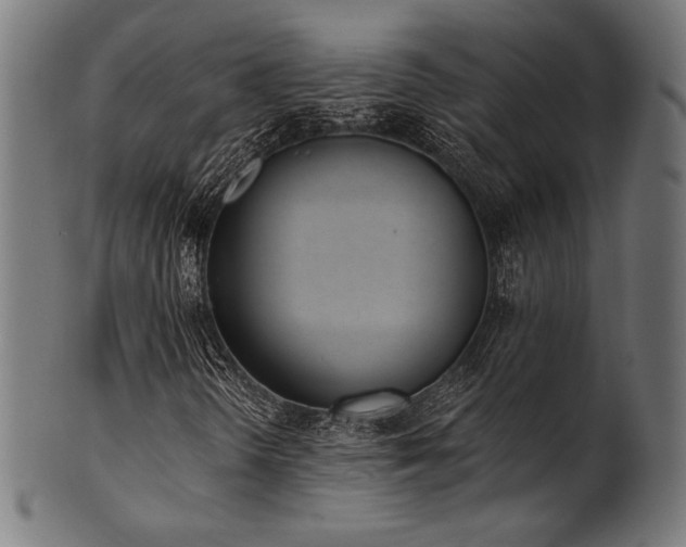 X0000100961298200806241517