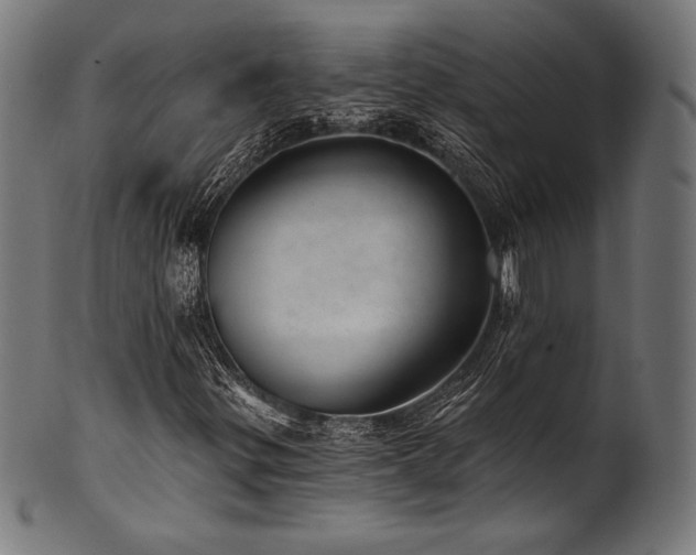 X0000100961299200806241518