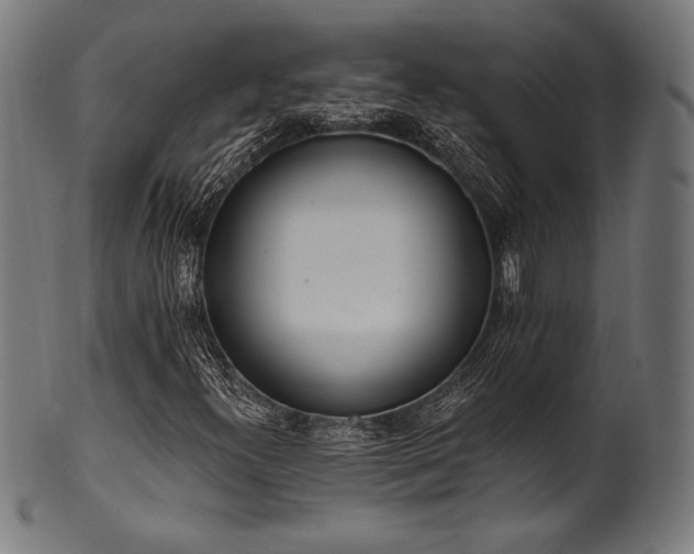 X0000100961300200806241518