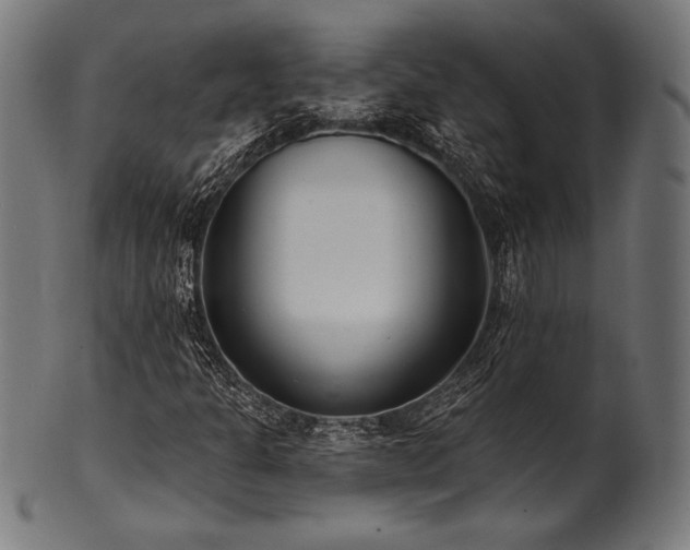 X0000100961301200806241518