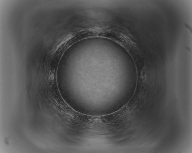 X0000100961302200806241518