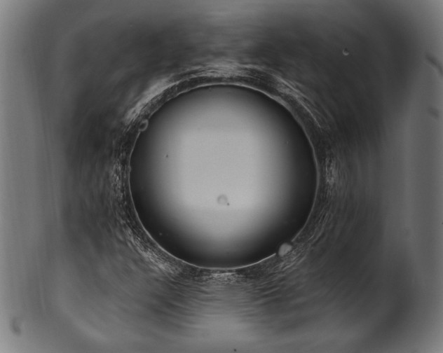 X0000100961304200806241518