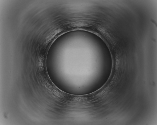X0000100961305200806241518