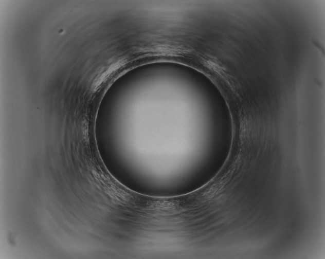 X0000100961307200806241518