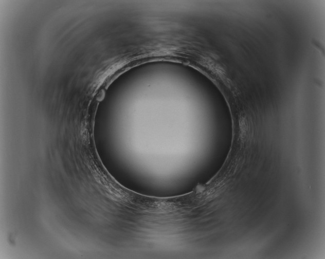 X0000100961308200806241518