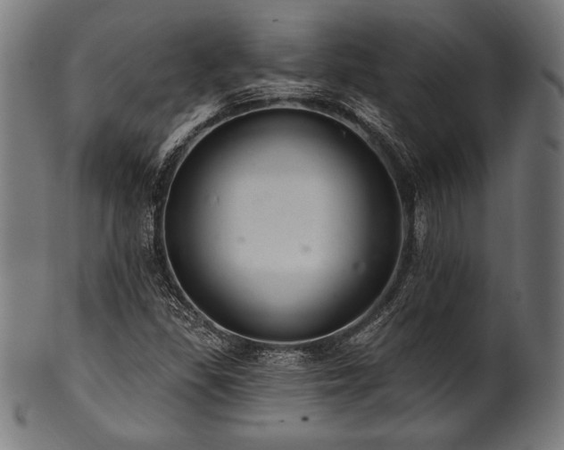 X0000100961309200806241518