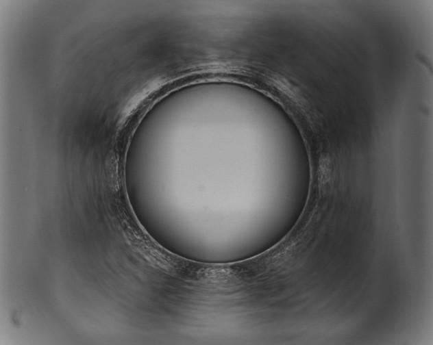 X0000100961310200806241518
