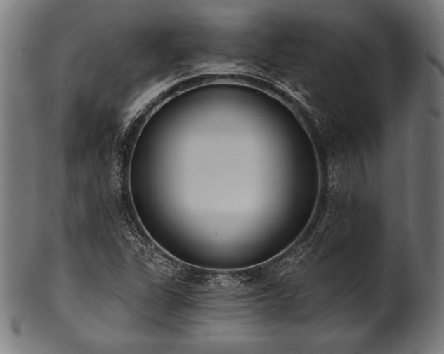 X0000100961311200806241518