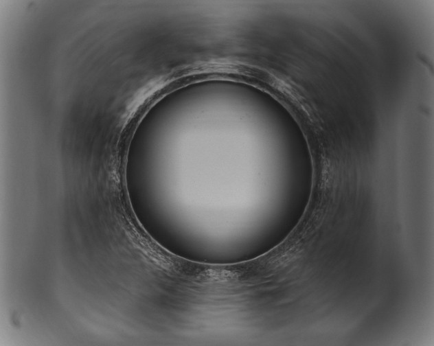 X0000100961312200806241518