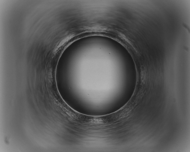 X0000100961315200806241518