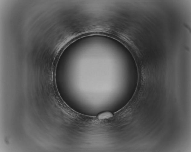 X0000100961316200806241518
