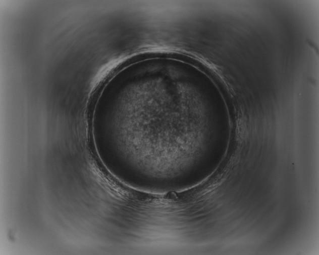 X0000100961319200806241518