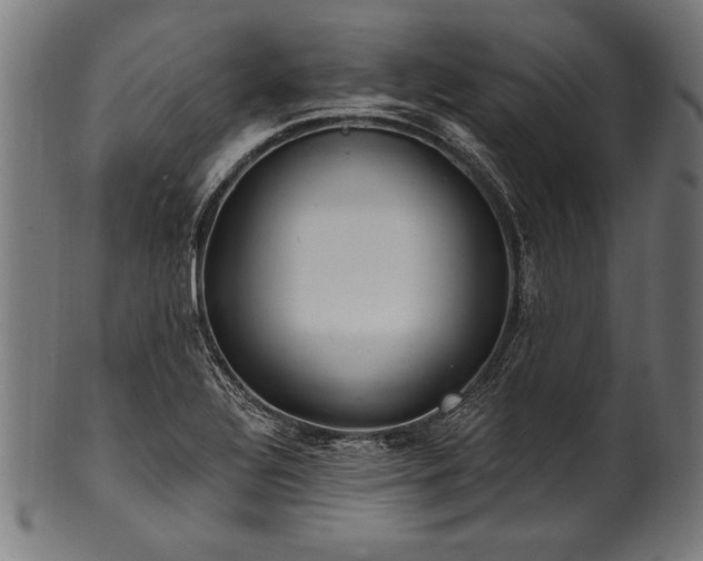 X0000100961320200806241518