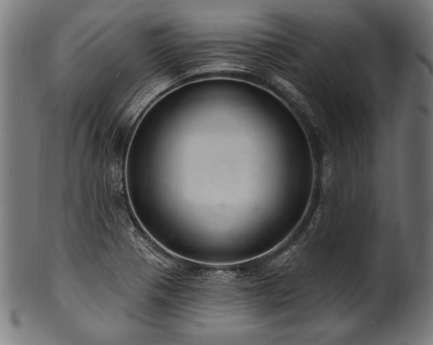 X0000100961321200806241518