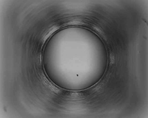 X0000100961322200806241518