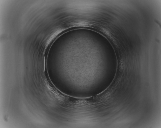 X0000100961323200806241518