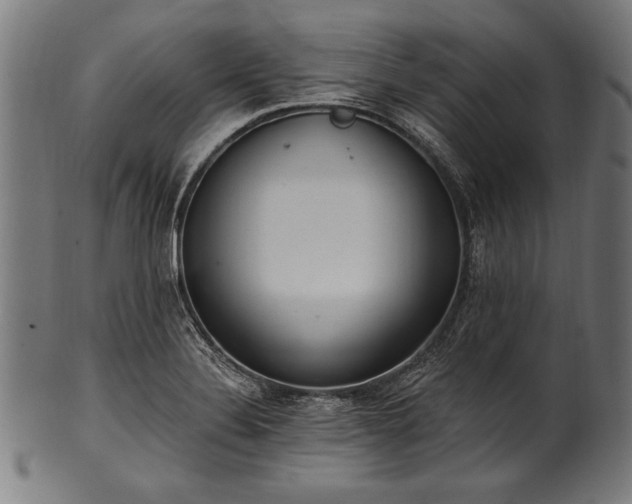 X0000100961324200806241518