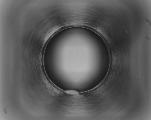 X0000100961325200806241518