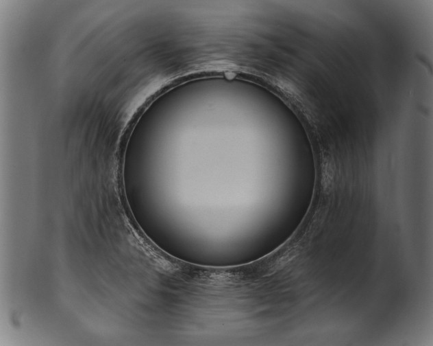 X0000100961326200806241518