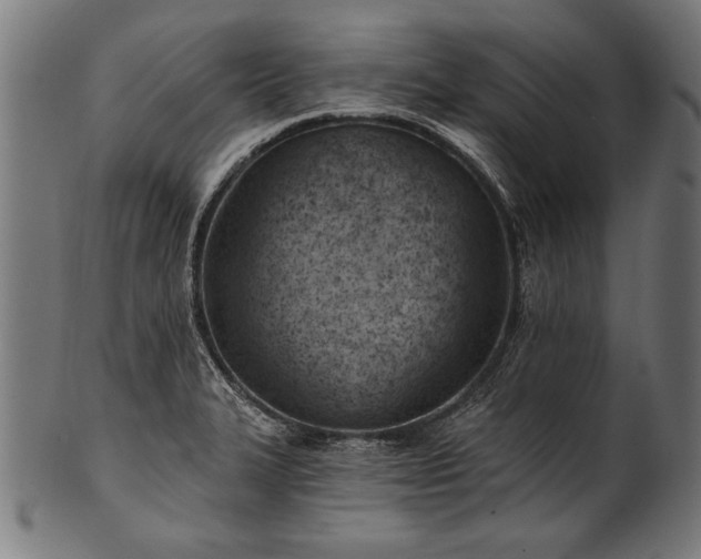 X0000100961327200806241518