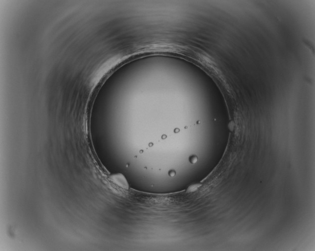 X0000100961328200806241518