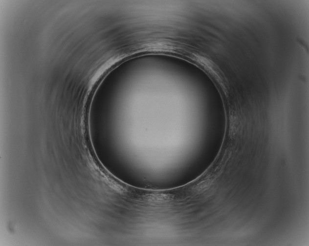 X0000100961331200806241518
