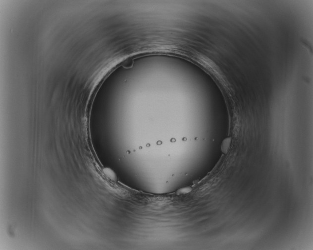 X0000100961332200806241518