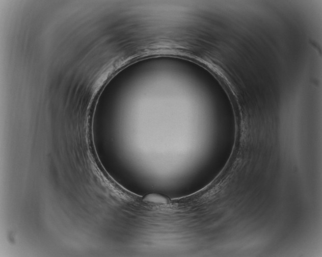 X0000100961333200806241518